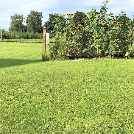 Ferienhaus Franziska Münstermaifeld Eksteriør billede